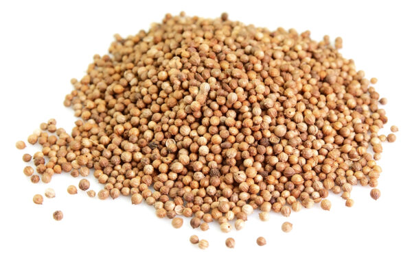 Premium Quality Whole Coriander Seed - Image 2