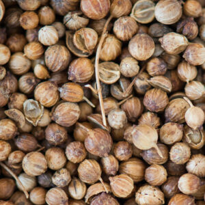 Premium Quality Whole Coriander Seed