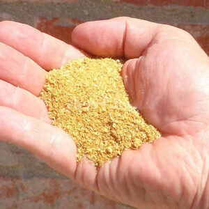Premium Quality Corn DDGS(Distillers Dried Grains with Solubles)