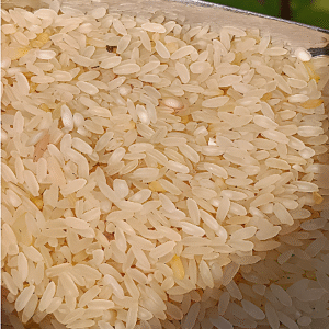 Premium Quality Rice Swarna Masuri