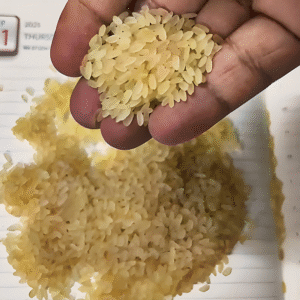 Premium Quality Rice Swarna