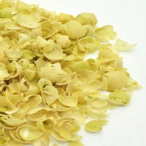Premium Quality Yellow Pea Bran